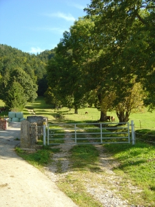 Début de la montée en direction du sentier des statues