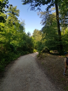 Départ du chemin