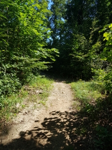 au retour, prendre à gauche au panneau pic pour faire la boucle. Non accessible en poussette.