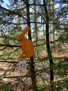 La chasse aux animaux dans les arbres fait oublier le dénivelé qui monte pas mal à cet endroit.