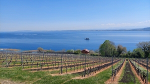 La vue est magnifique sur le lac de Neuchâtel