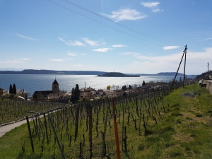 Twann et lac vu d'en haut