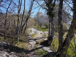 Le sentier au-dessus de Finnu