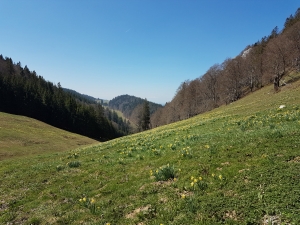 Tout droit au fond du creux la ferme de la Roche aux Cros