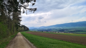 Au fond, si le temps est clair, on peut voir le Creux-du-Van