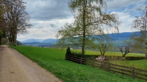 Très joli chemin en lisière de forêt