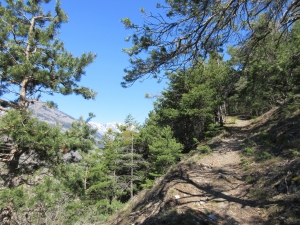 En montant vers le Rosé