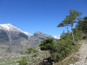 En montant vers le Rosé