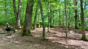 Chouette place de jeux dans la forêt