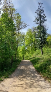 Le chemin, praticable avec une poussette tout-terrain