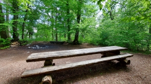 Une table de pique-nique, avec un foyer et du bois à disposition