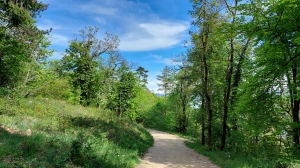 Une grande partie du chemin emprunte une route forestière caillouteuse