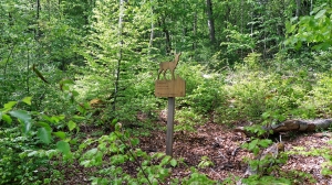 Un des panneaux dans la forêt