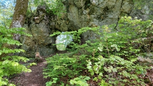 Sous la Roche de l'Ermitage