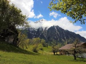 Le Niesen depuis Hondrich