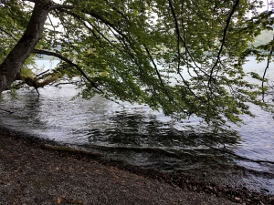 Entre Faulensee et Spiez