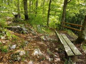 Bancs au point de vue du Hondrichhügel