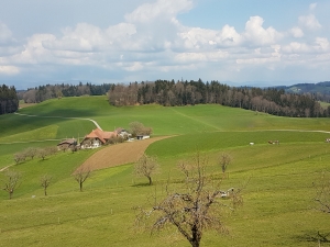 Les pâturages