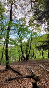 Durant la montée au château