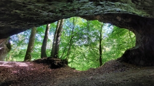 Depuis l'entrée de la Grotte de Cotencher