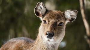 Une jolie rencontre dans le zoo