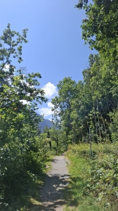 Le chemin entre la gare des Marécottes et le zoo