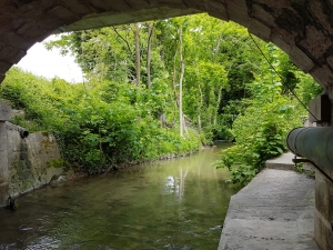 Le Boiron passe sous la route