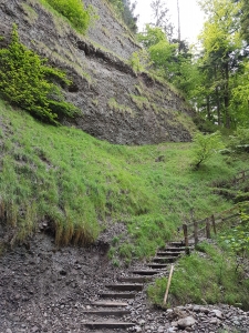 Descente vers le Riderbach