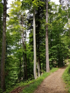  Le sentier