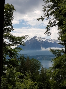 Vue du sentier sur le Niesen