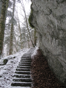 Sentier bien aménagé