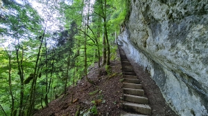 La montée par les escaliers