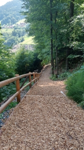 Le sentier, entre le parking et la passerelle