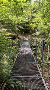 Petite passerelle, au fond des gorges