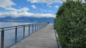 Le Pont de l'Amitié