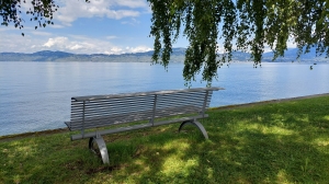 Un banc le long des quais, côté français de St-Gingolph