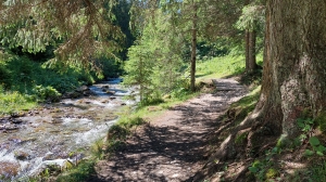 Le sentier ombragé est agréable