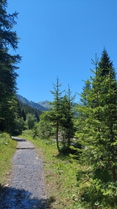 En approchant du vallon de la cantine de They