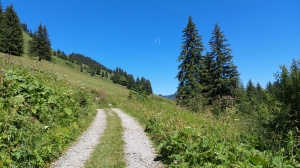 Juste après avoir quitté l'étang de Sassey, en remontant pour rejoindre la route goudronnée