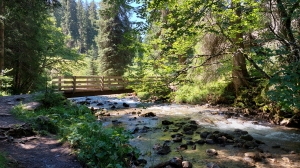 Un des nombreux ponts enjambant la Vièze de Morgins