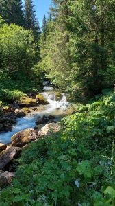 La Vièze, par moments tumultueuse