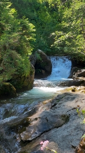 Une magnifique petite cascade le long de la Vièze