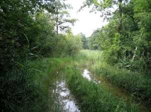 Chemin inondé après les crues d'août 2007