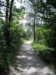 Le chemin, peu avant l'arrivée à Cheyres