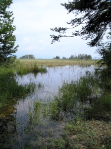 En direction du lac depuis le chemin