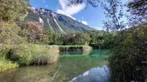 L'étang, les roseaux et la montagne