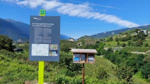 Le départ du sentier du lézard vert