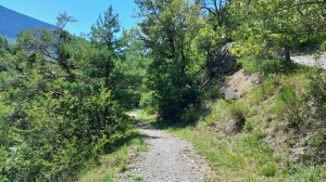 Sentier pédestre agréable à parcourir