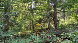 Un petit panneau indicateur jaune à suivre