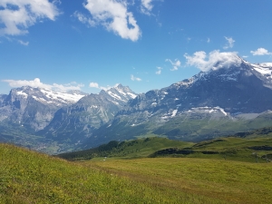 Wetterhorn Schreckhorn Eiger